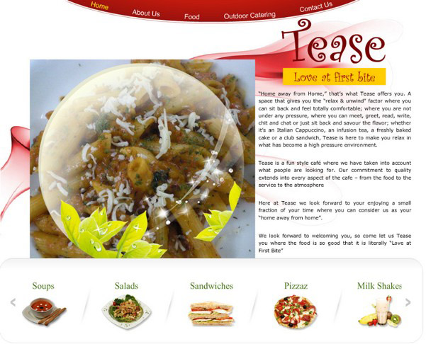 Full Flash Website