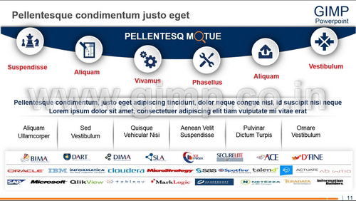 Business Intelligence Consulting PPT