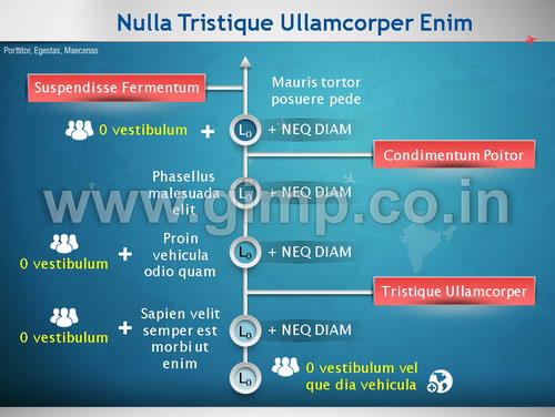 Business Proposal PPT Presentation