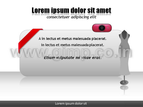 Company PPT