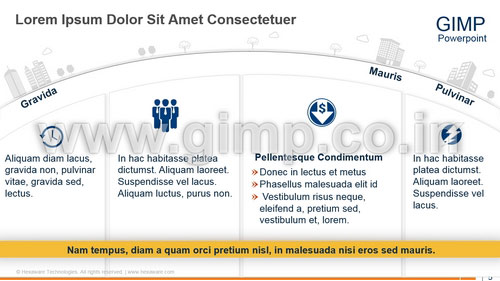 PowerPoint Presentation on Customer Experience