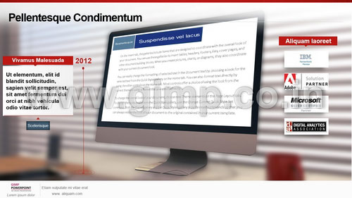 Digital Analytics Company Presentation