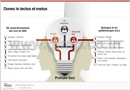 PPT on Digital Analytics Company