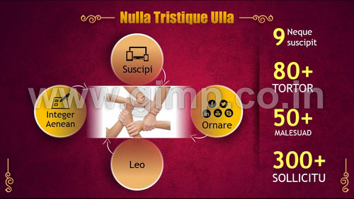 Media Agency PPT Presentation