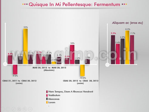 Portfolio Diversification Presentation