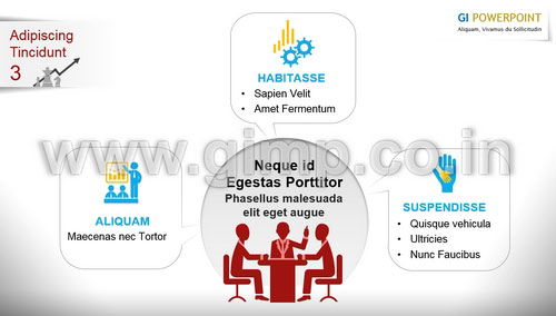 PPT on Data Management Company