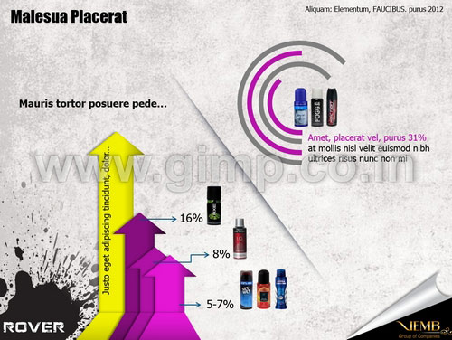 Marketing Plan PPT Presentation