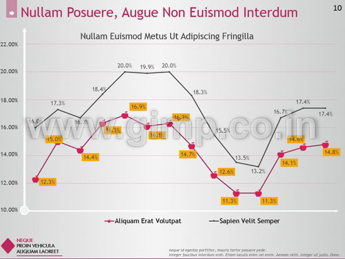 PPT on Mutual Funds Investments in India
