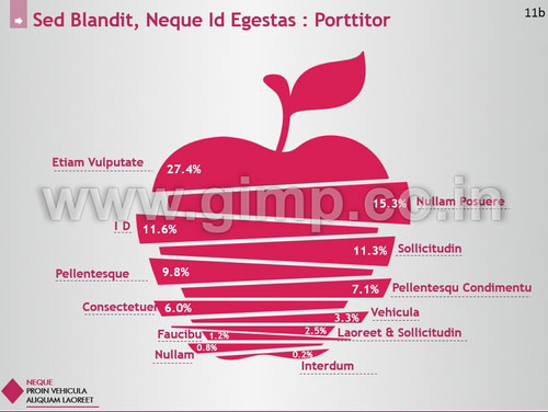 Mutual Funds PPT Presentation