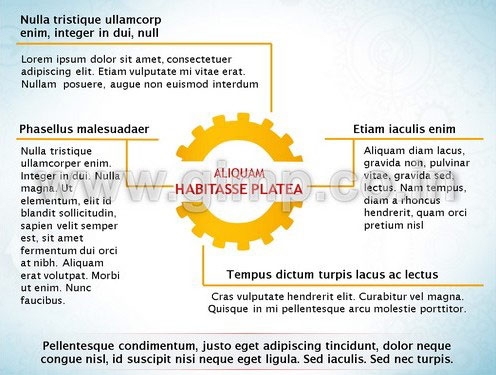 Industry PPT Services