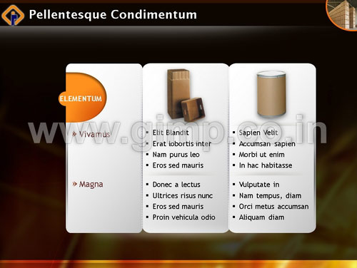 Company Profile of Packaging Solutions Provider