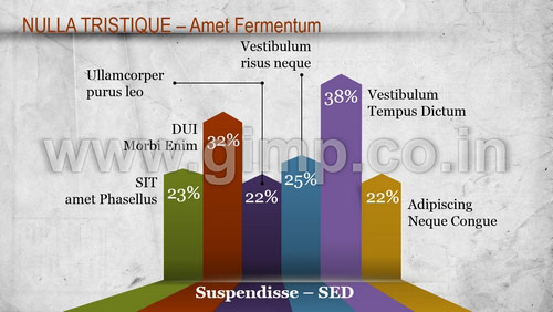 Sales Data Analysis Presentation