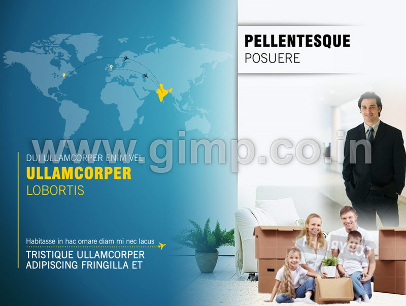 Business Plan PPT