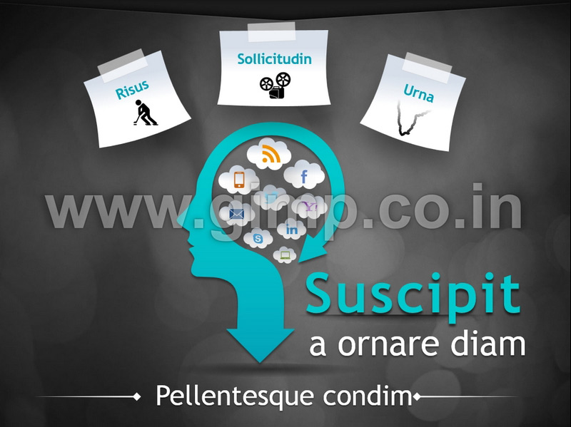 Digital Marketing Agency PPT