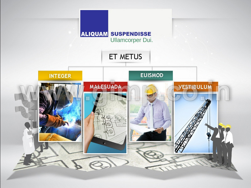 Turnkey Solutions Provider PPT