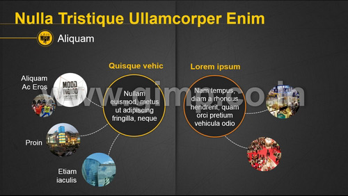 Product Marketing Plan PPT