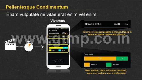 Product Launch PPT