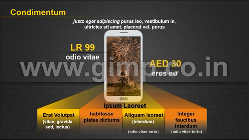 Product Launch Management PPT
