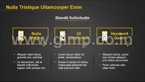 PPT on Product Marketing Management