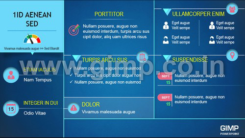 Project Report PPT