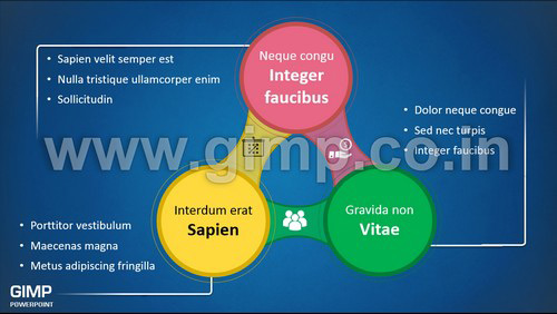 Project Management PPT Design
