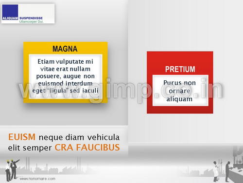 Infrastructure Company in India PPT
