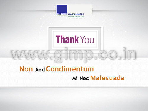 PowerPoint presentation of Infrastructure and Engineering Company